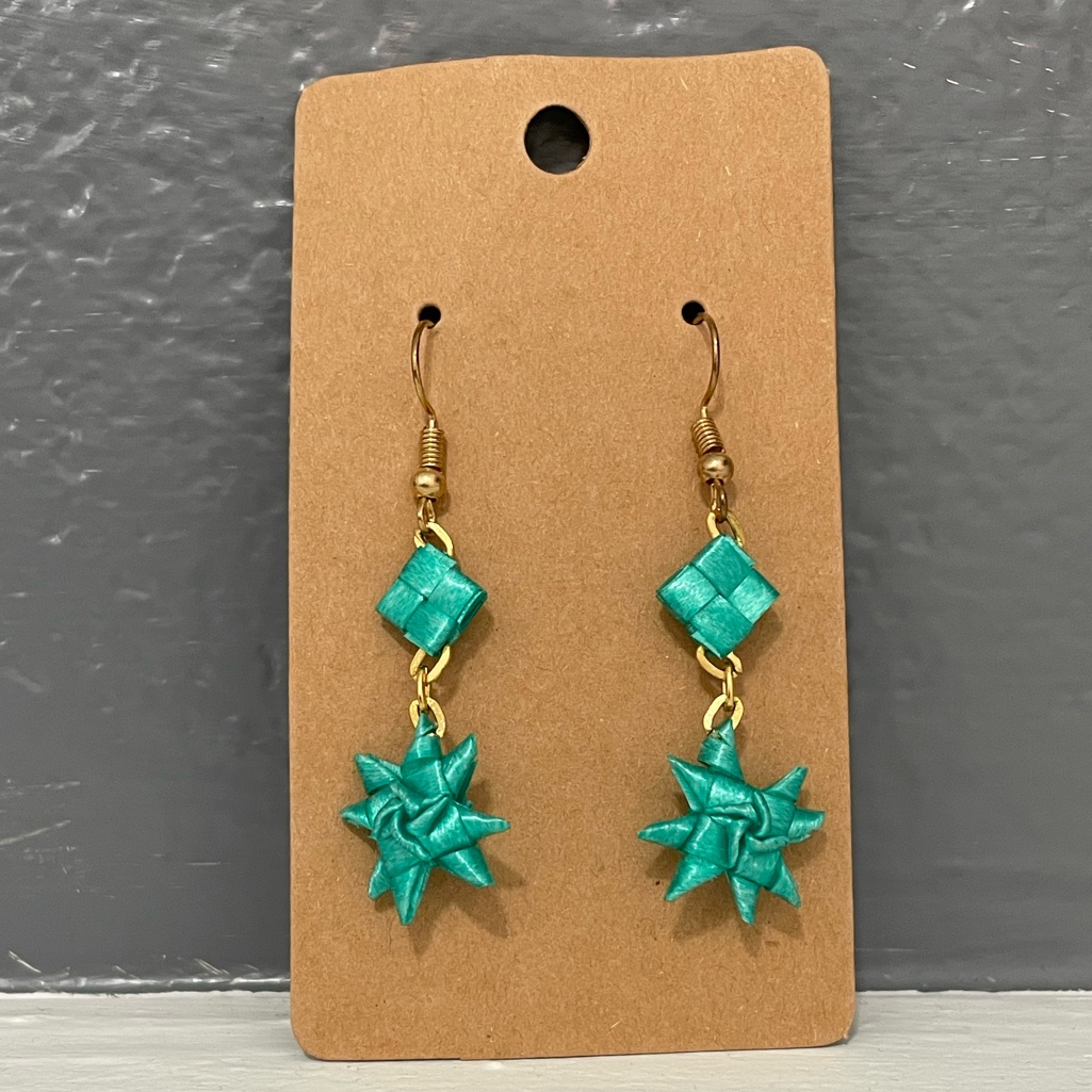 Palm Leaf Star Earrings 20$
